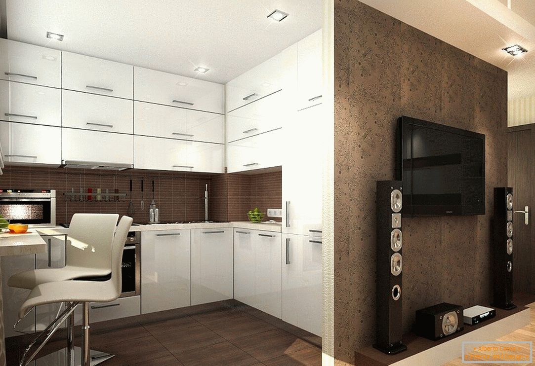 Hall combinado con cocina