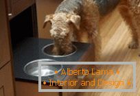 Diseño para mascotas: hacer un lugar para comer un perro