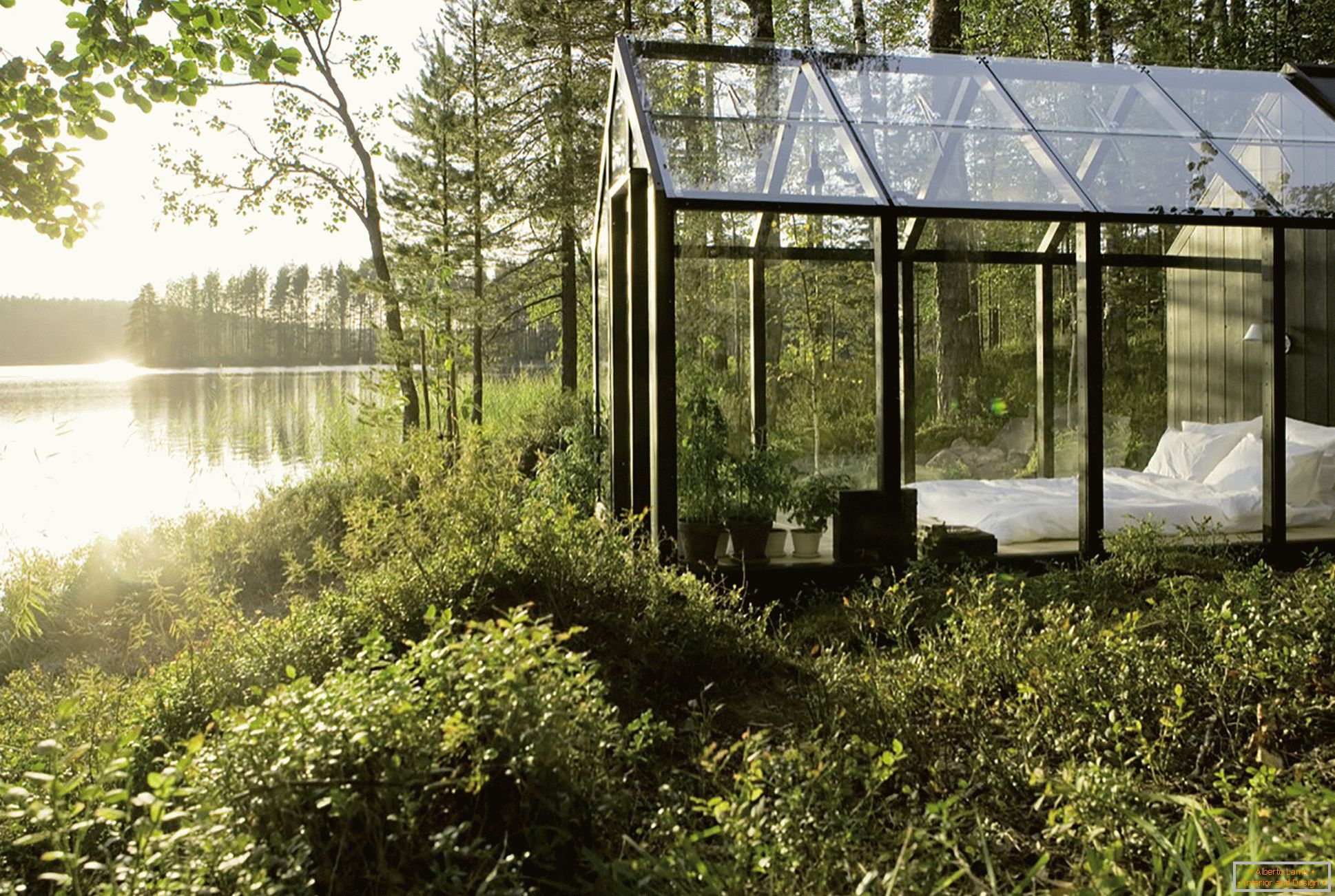 Diseño de un invernadero en el medio del bosque