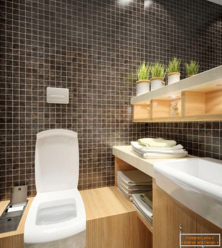 Diseño de inodoro - 150 fotos de diseño interior competente