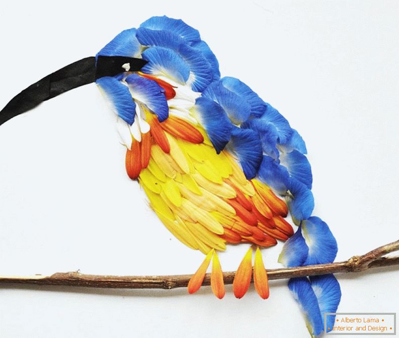 Aves exóticas de pétalos de flores, proyecto Hong Yi