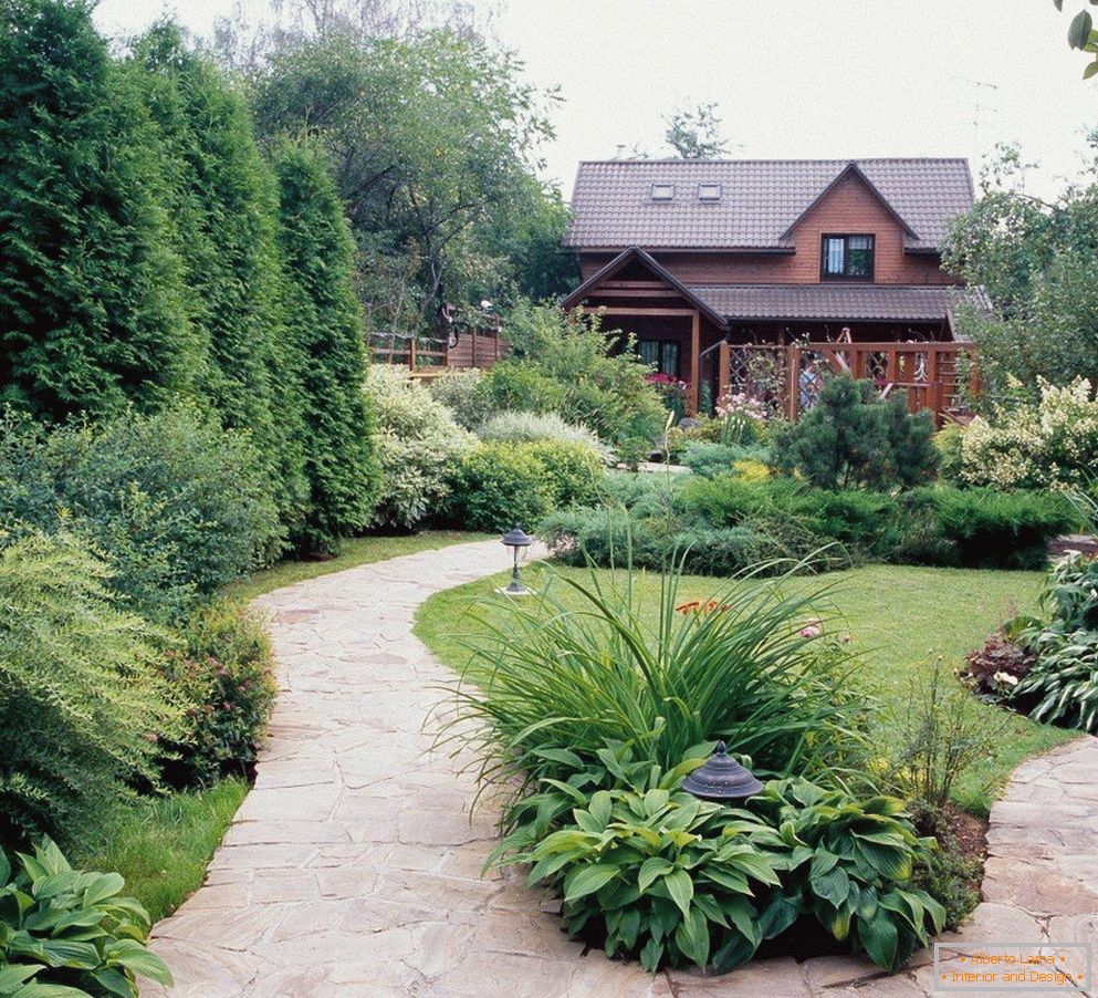 Un pequeño jardín en el patio