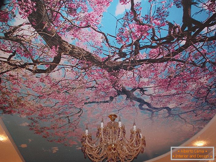 Las flores de cerezo florecientes son a menudo utilizadas por los diseñadores modernos para decorar los techos. La solución real para el registro de una habitación de huéspedes o una sala.