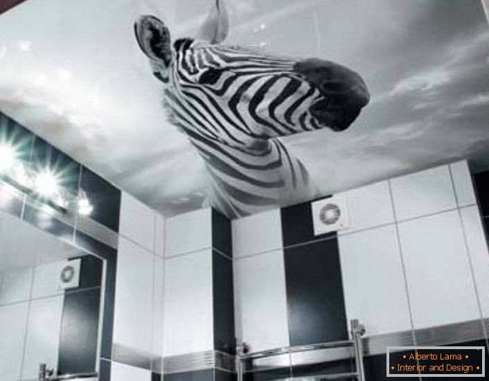 Una solución inusual para decorar un baño en blanco y negro es la imagen de una cebra en techos tensados ​​con impresión fotográfica.