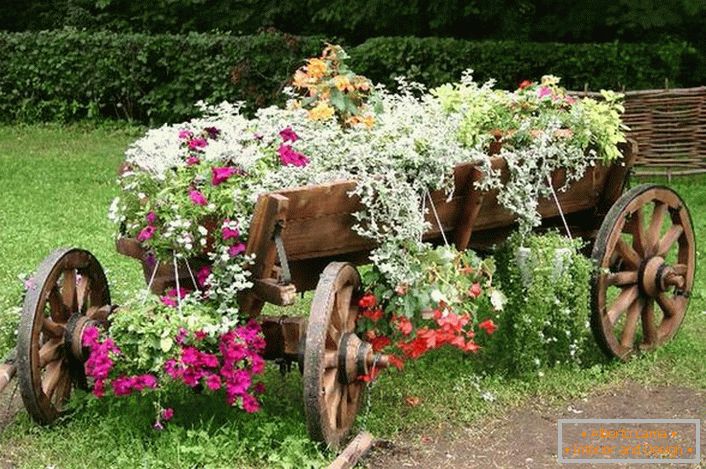 Como utensilios para la creación de un lecho de flores, se utilizó un carro viejo y restaurado. Una solución interesante para la decoración del patio de la casa de campo. 