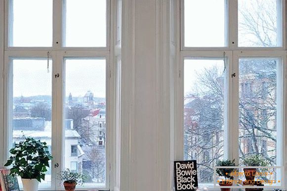 Decoración de ventana con libros y plantas de interior