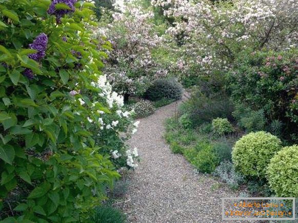 Versiones simples de senderos de jardín con sus propias manos hechas de grava