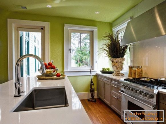 Diseño de cocina con paredes verdes y techo