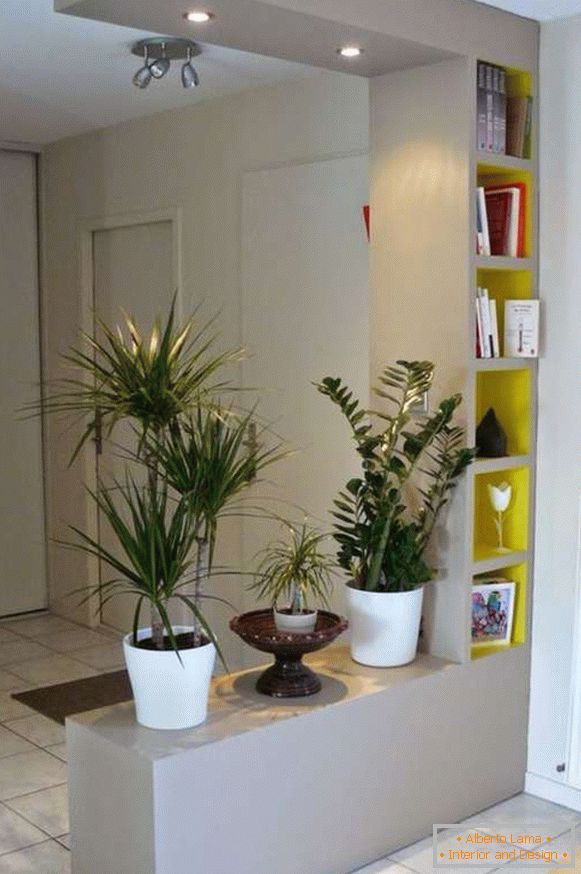 plantas de interior originales en el interior del pasillo, foto 13