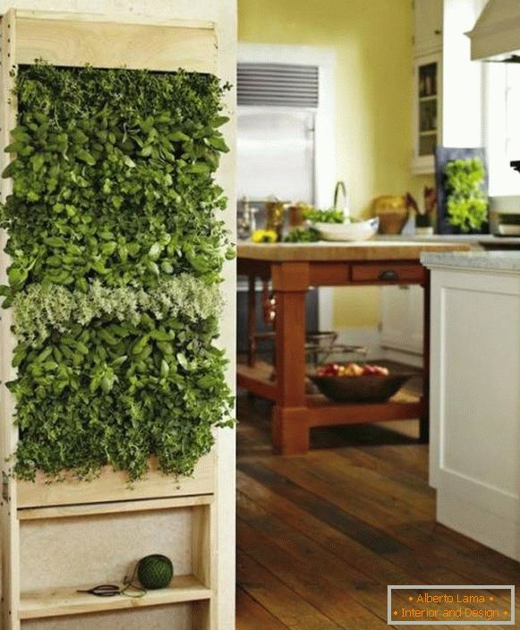 Plantas verdes en la cocina