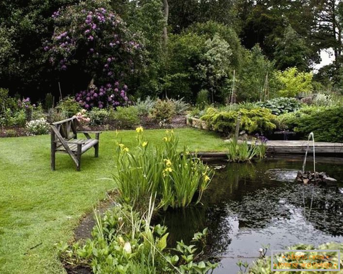 Diseño de jardines del jardín en un acogedor estilo rural (52 fotos)