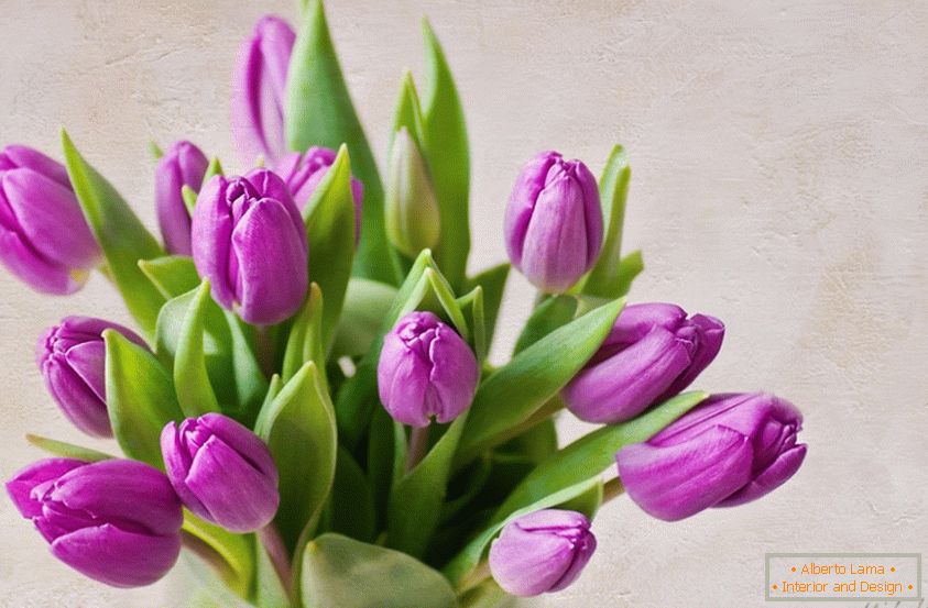 Ramo de tulipanes lilas