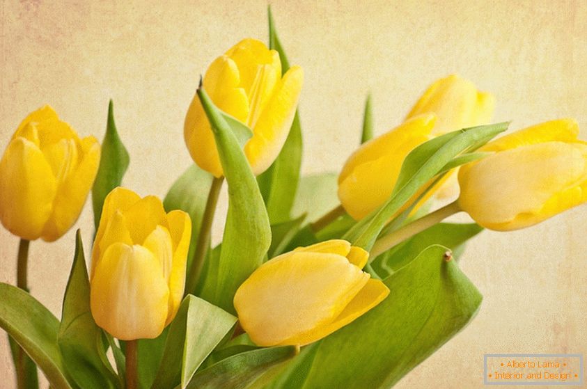 Un ramo de tulipanes amarillos