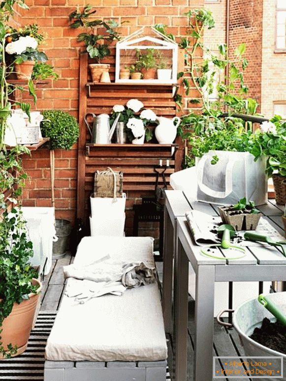Balcón con plantas de interior