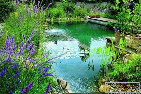 Hermosa foto de piscinas - estanque para nadar en el patio