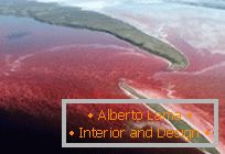 Un lago rojo inusual en el norte de Canadá