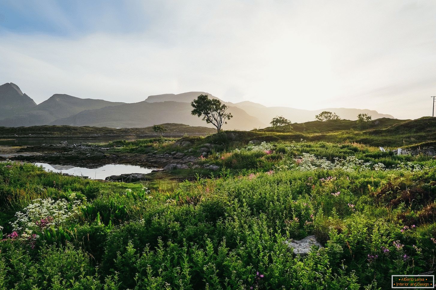 Paisaje jugoso de los campos de Noruega