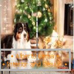 Un perro en un árbol de Navidad en una cortina