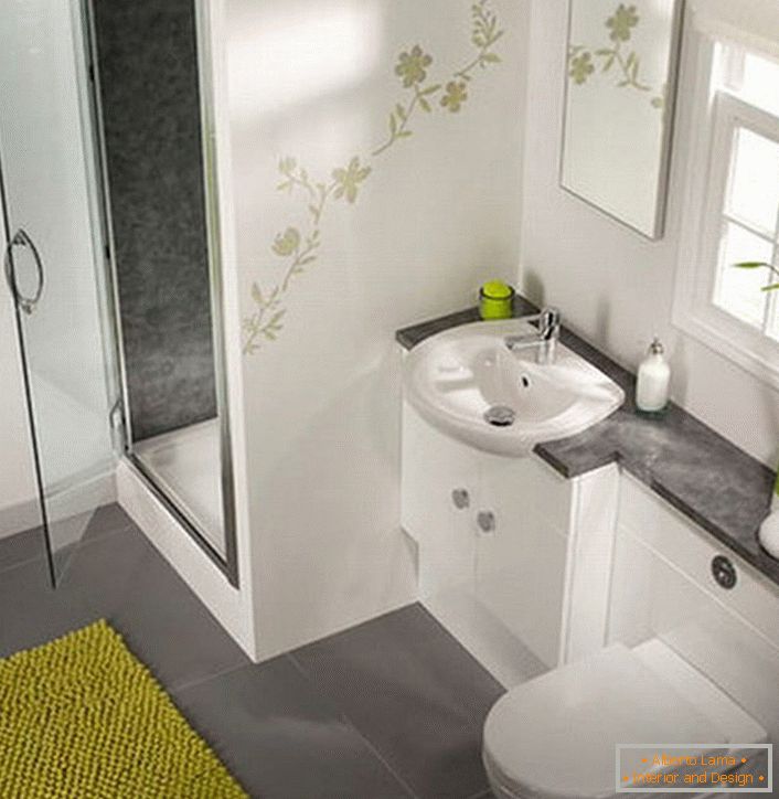 Una elegante ducha en un baño pequeño será una excelente alternativa a un baño tradicional. 