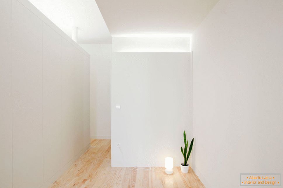 Interior de un pequeño apartamento en colores claros - одинокий цветок