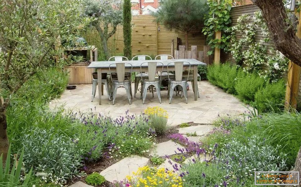 Plantas ornamentales en un jardín rural