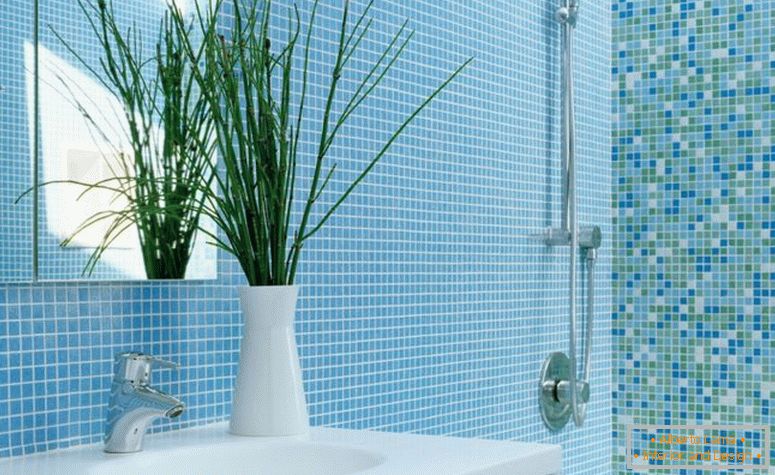 pequeño-mosaico-en-diseño-ducha-y-baño