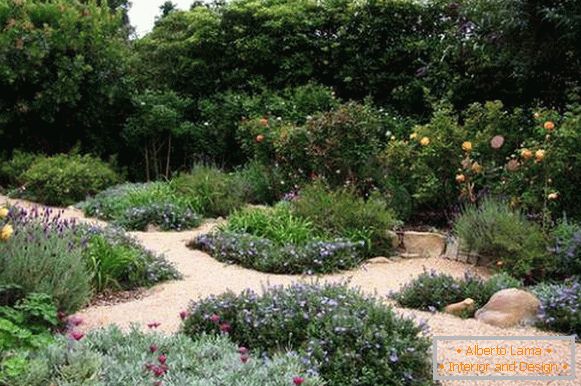 Hermoso diseño de jardín con senderos