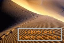Paisajes: vistas panorámicas de los desiertos