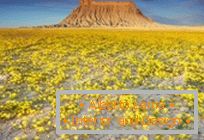 Desiertos en Utah, explotados en colores