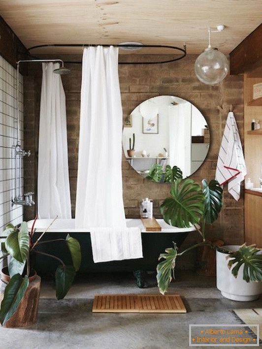 Interior растения в ванной