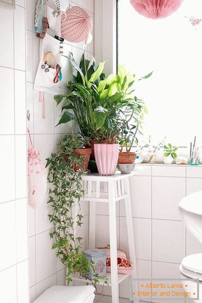 Plantas en la esquina del baño