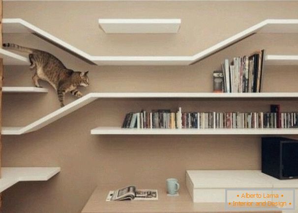 Laberinto para un gato de estantes de pared