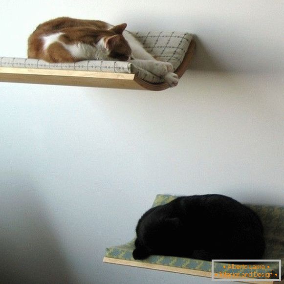 Estantes de pared para gatos