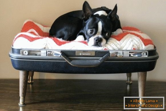 Lugar para un perro de una maleta