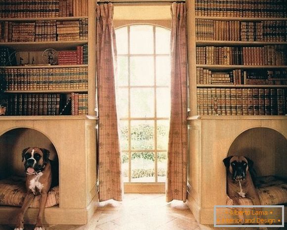 Casetas para perros en estantes de libros