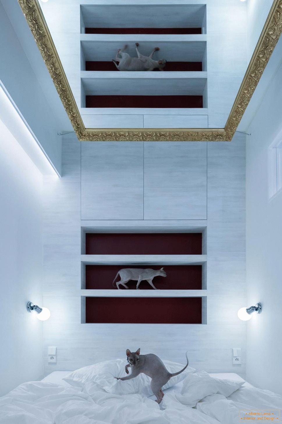 Diseño moderno de un pequeño apartamento - gatos en el interior