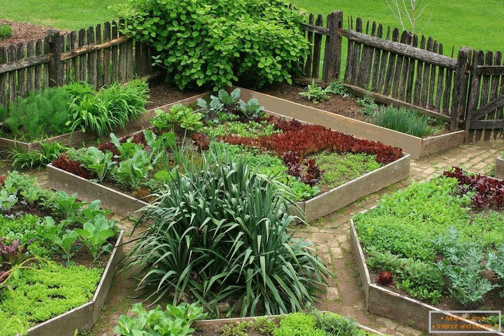 Ubicaciones de vegetales en el jardín