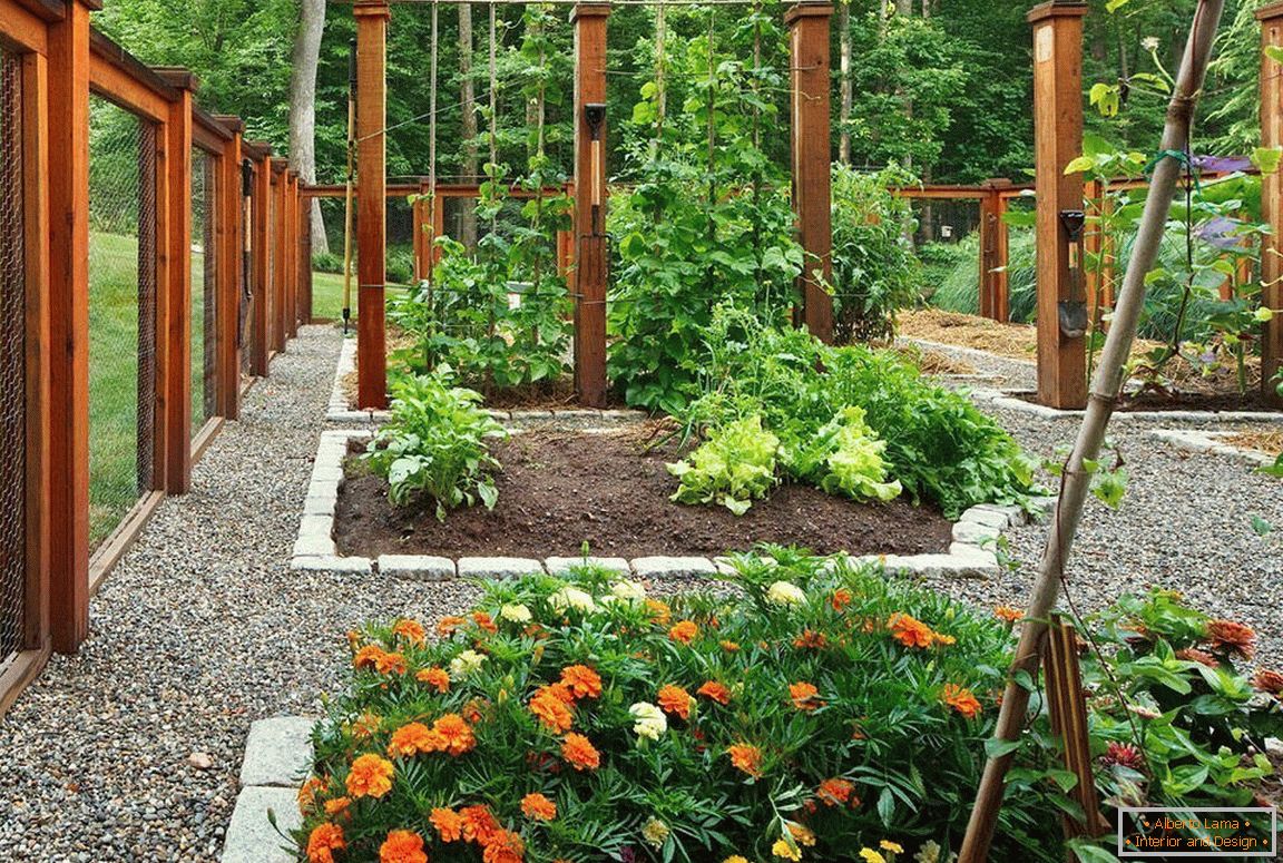 3招教你打造复古的日式庭院-庭院艺术
