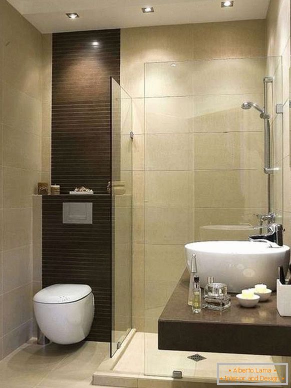 Cercas de vidrio y puertas de ducha en las fotos de los baños