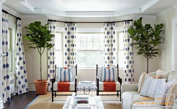 Cortinas blancas con un patrón azul en la sala de estar