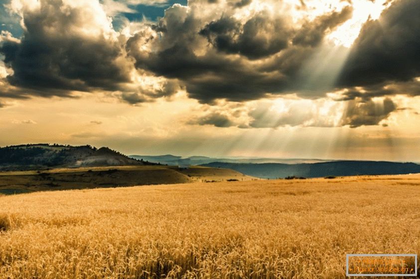 El sol se abre paso entre las nubes, sobre el campo de trigo