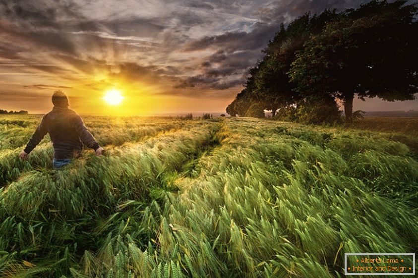 Un hombre en un campo de trigo, fotógrafo Paul Wozniak